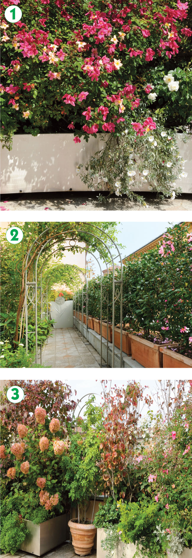 Decorazione giardini fai da te : decorazioni giardino fai da te ... Ispirazioni Giardino Scale