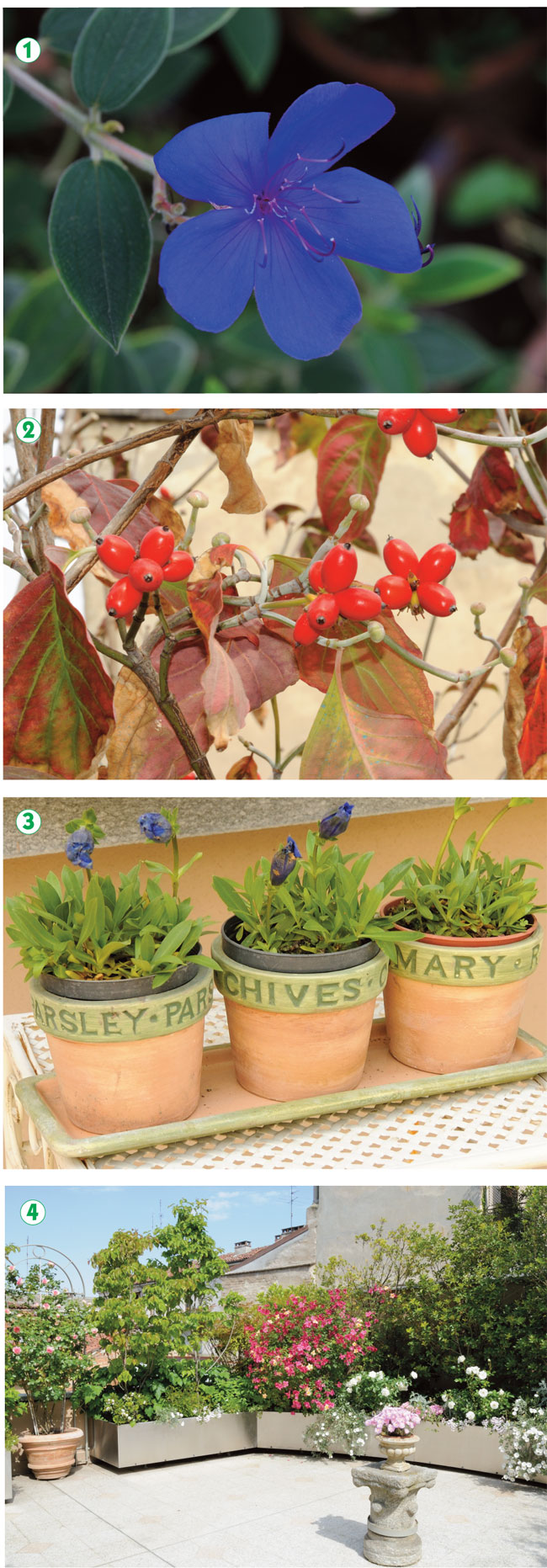 Come arredare il giardino fai da te : come arredare giardino fai ...