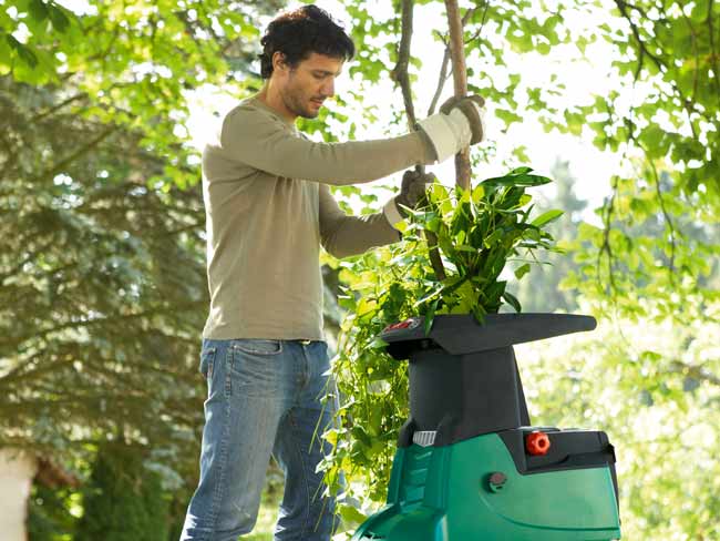 Noleggio Attrezzatura Giardino HSS Nolo Attrezzatura