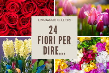 il significato dei fiori