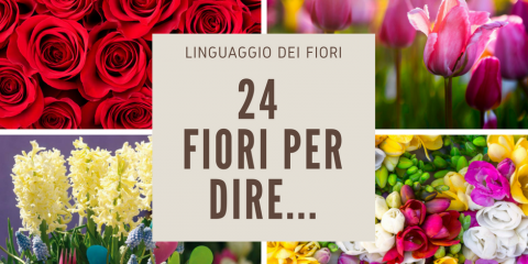 il significato dei fiori