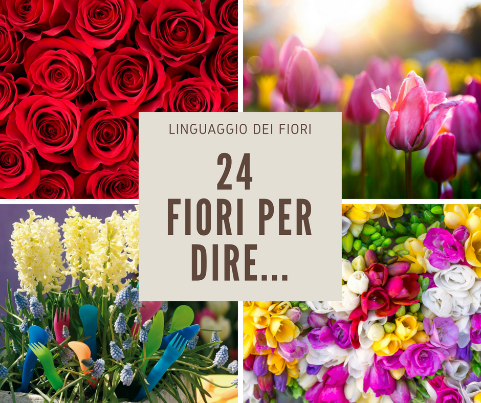 il significato dei fiori