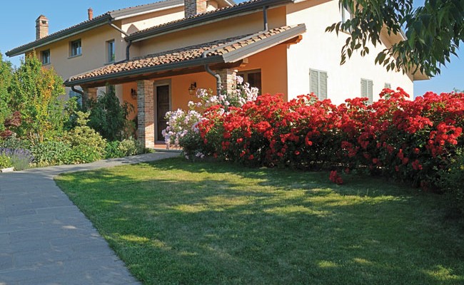 Progettare un giardino in collina fai da te in giardino Progettare un giardino