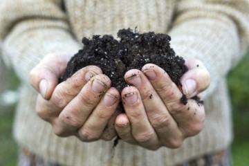 concimi naturali