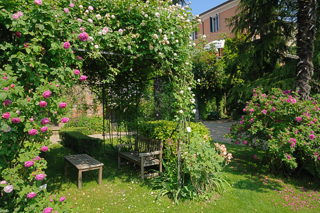 Progettare un giardino a terrazze fai da te in giardino Progettare un giardino