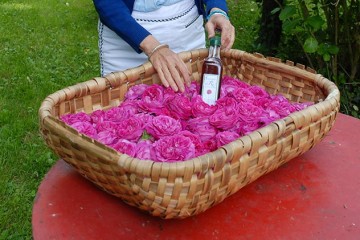 sciroppo di rose