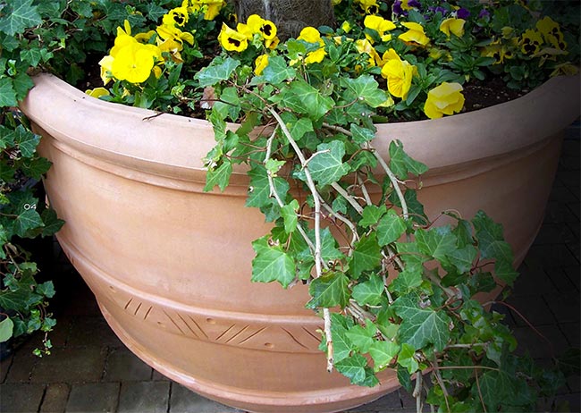 Vaso Ovale Da Giardino 30 Cm – Grigio Lucido, Resistente Al Gelo, Per Fiori E Erbe, Interno/Esterno