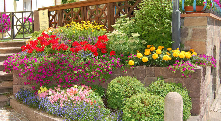 Bordura, aiuola o terrazzo: il piacere del giardinaggio fai da te ... Aiuole da terrazzo