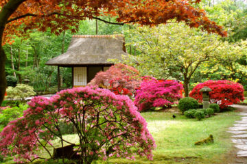 giardino-giapponese