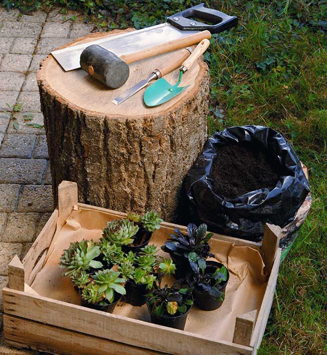 Come costruire un vaso in legno per piante grasse fai da te in ... Vasi per piante fai da te