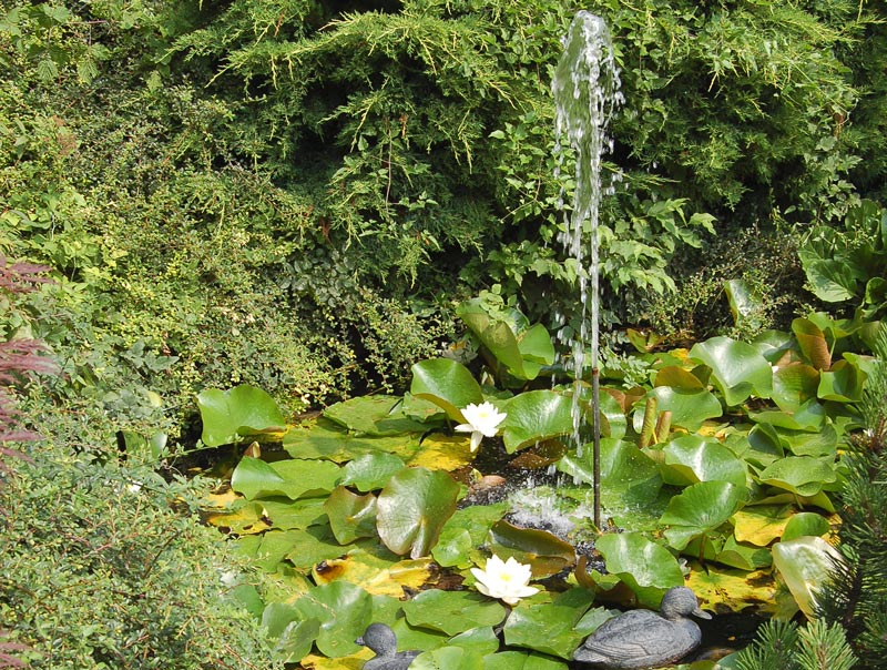4 Graticci Per Piante Da Interno – 109 Cm Di Altezza – Tralicci In Metallo Per Piante Rampicanti, Edera E Fiori In Vaso – Supporto Da Giardino