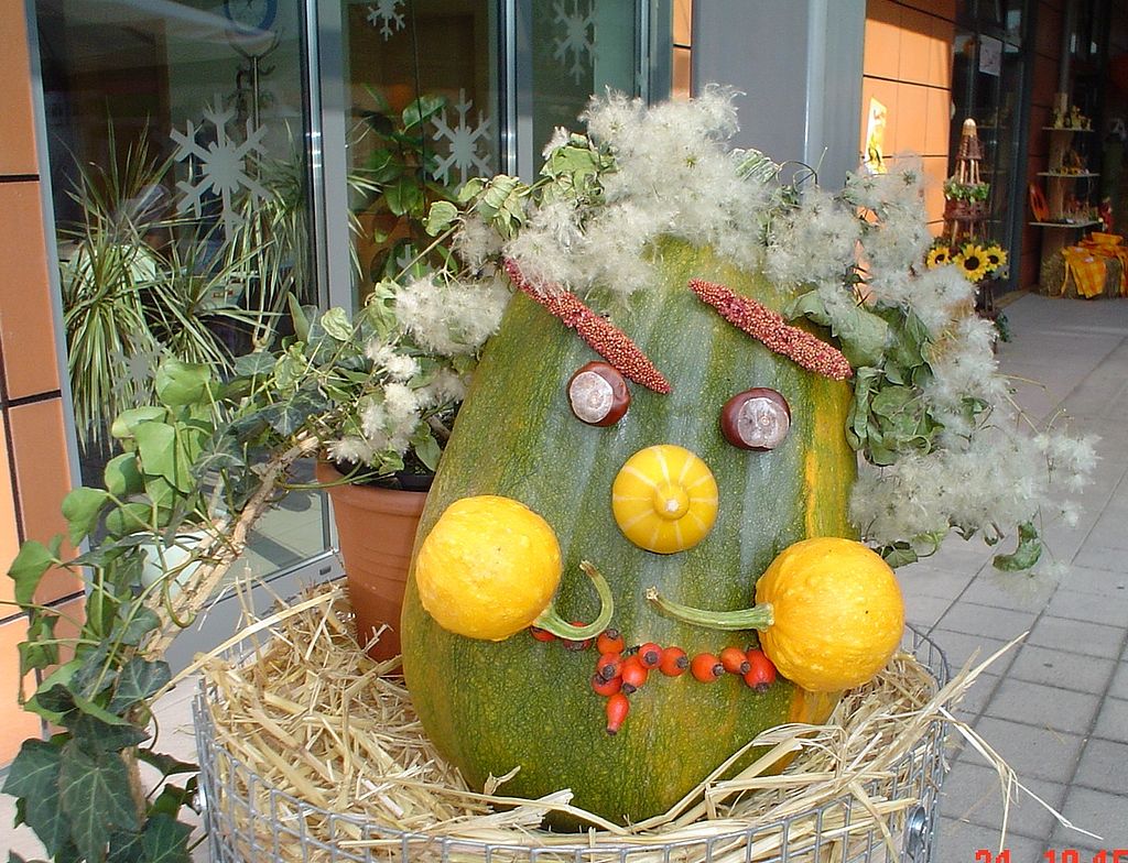 festa della zucca