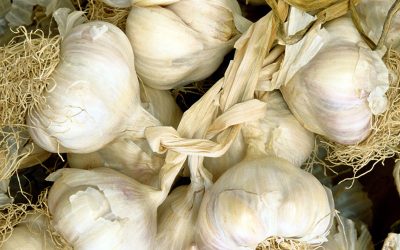 aglio