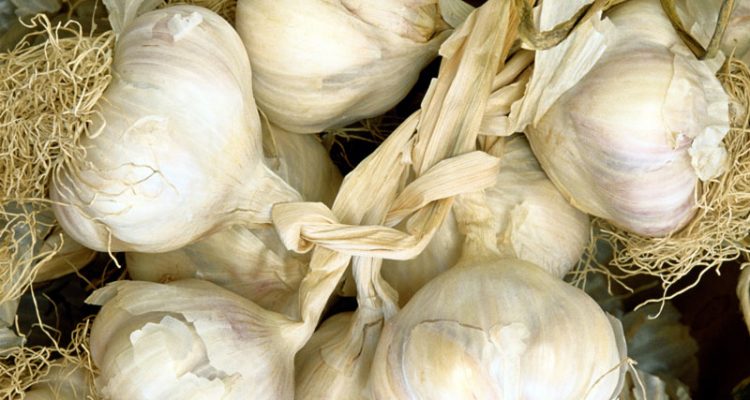 aglio