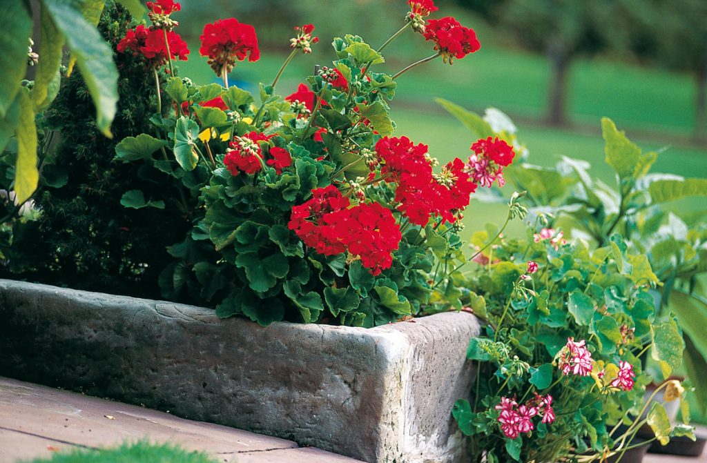 Stampo Per Fioriera In Cemento 29 Cm: Plastica Resistente Per Vasi Fai-da-te E Giardino