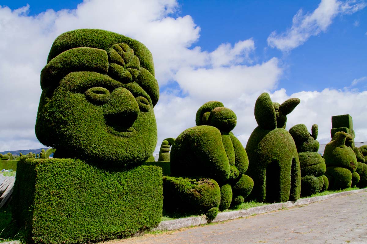 Foglie autunnali  Raccoglierle e smaltirle - Giardinaggio, fiori, animali  e centinaia di articoli passo passo!