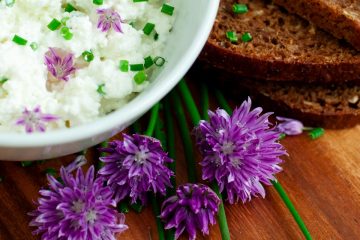 allium