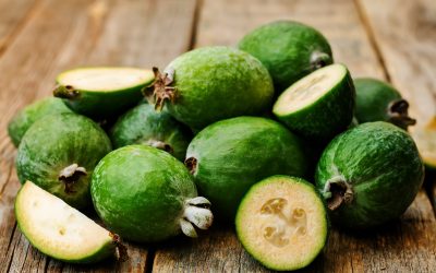 Feijoa