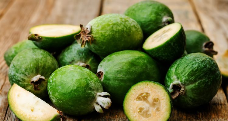 Feijoa