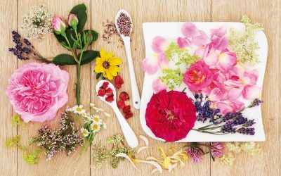 fiori commestibili