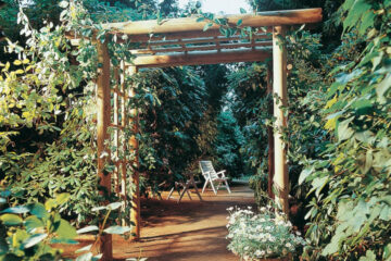 pergola fiorita