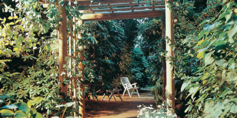 pergola fiorita