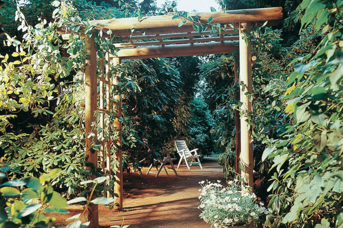 pergola fiorita