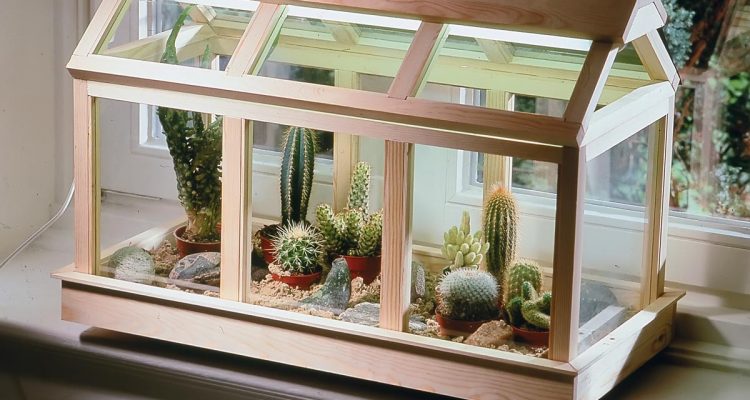 serra per piante grasse