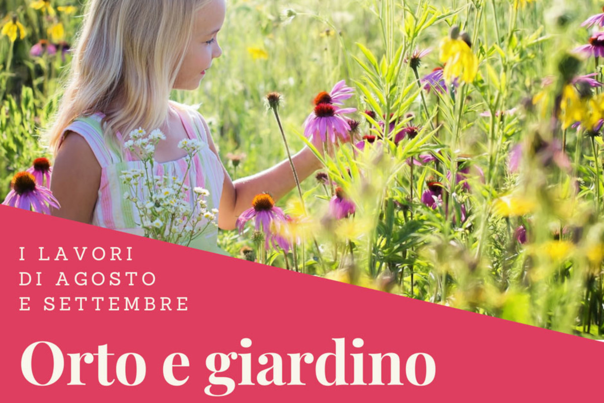 Lavori di agosto settembre in giardino