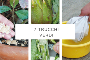 trucchi verdi