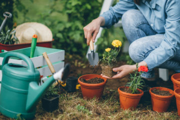 lavori in giardino