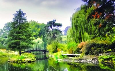 alberi da giardino