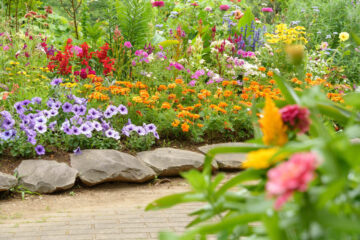 aiuole per giardino