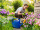 lavori giardinaggio luglio