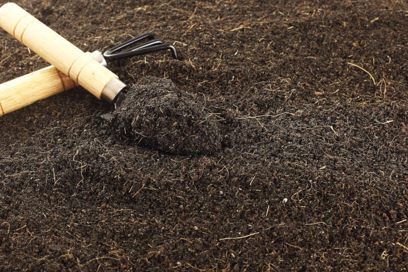 tipologie di terreno limoso