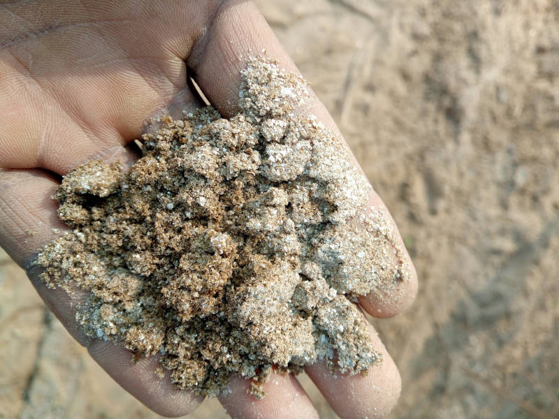 tipologie di terreno sabbioso