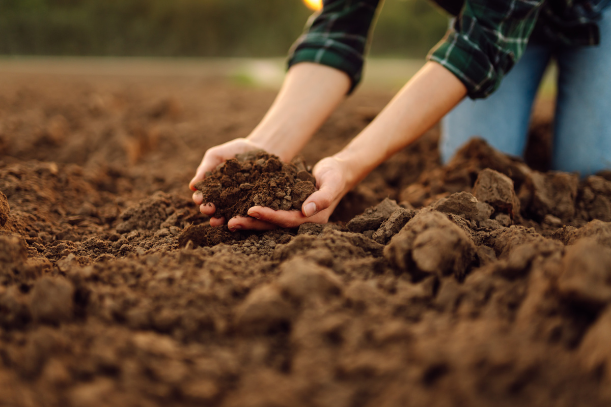 tipologie di terreno