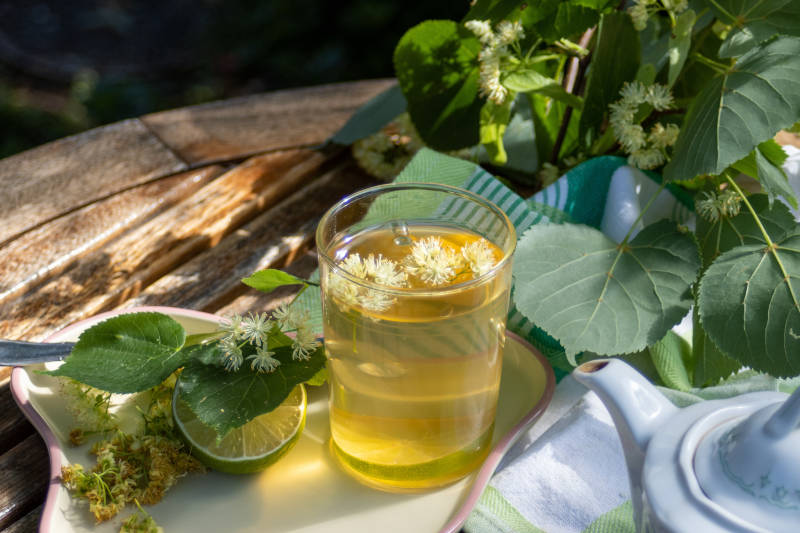 infuso di tiglio