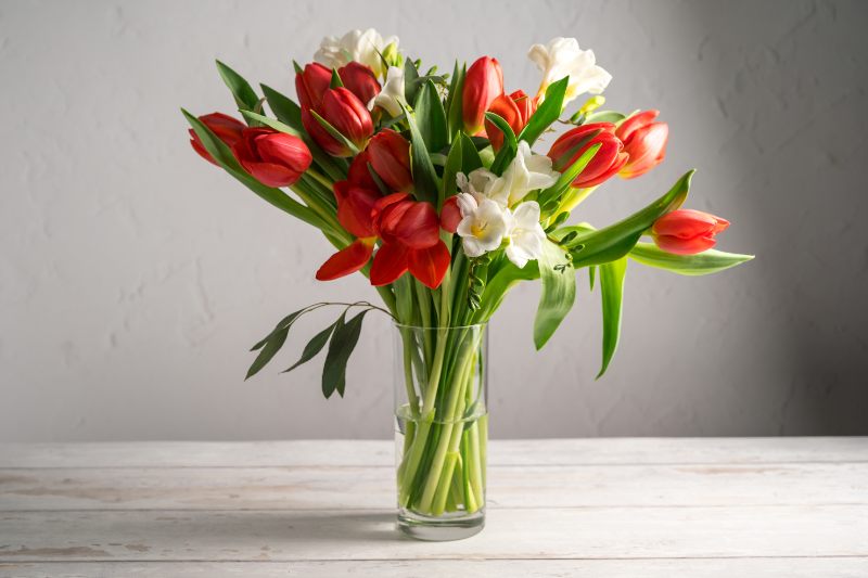 fiori recisi