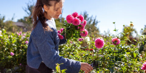 fiori recisi