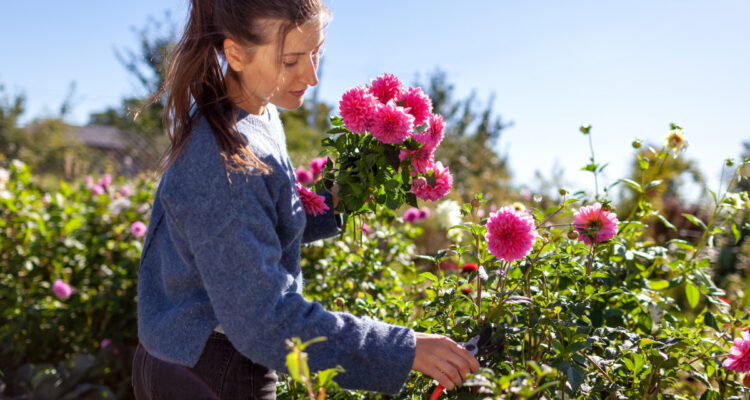 fiori recisi