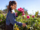 fiori recisi