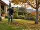 lavori di ottobre in giardino