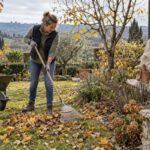 lavori in giardino a novembre
