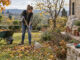 lavori in giardino a novembre